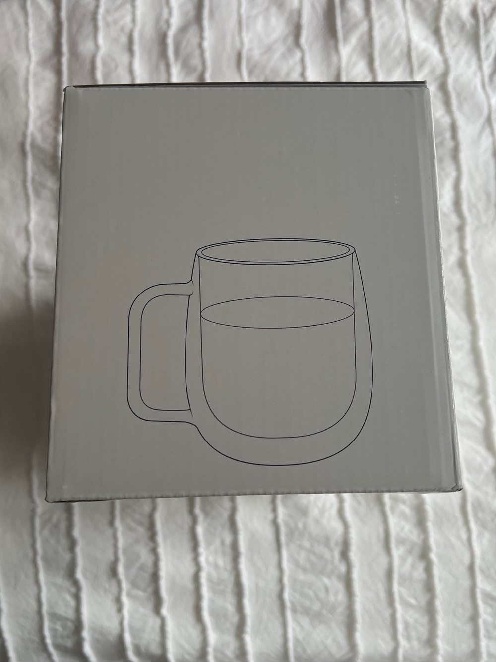 Double Wall Glass Mugs